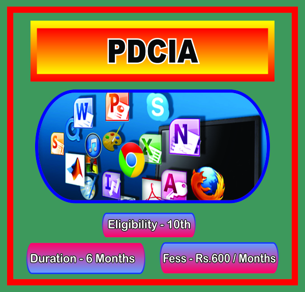 PROFESSIONAL DIPLOMA IN COMPUTER & INTERNET APPLICATIONS